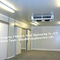 Изолированные панели стены холодной комнаты ПУ сэндвича для блока рефрижерации и холодильных установок морозильника поставщик